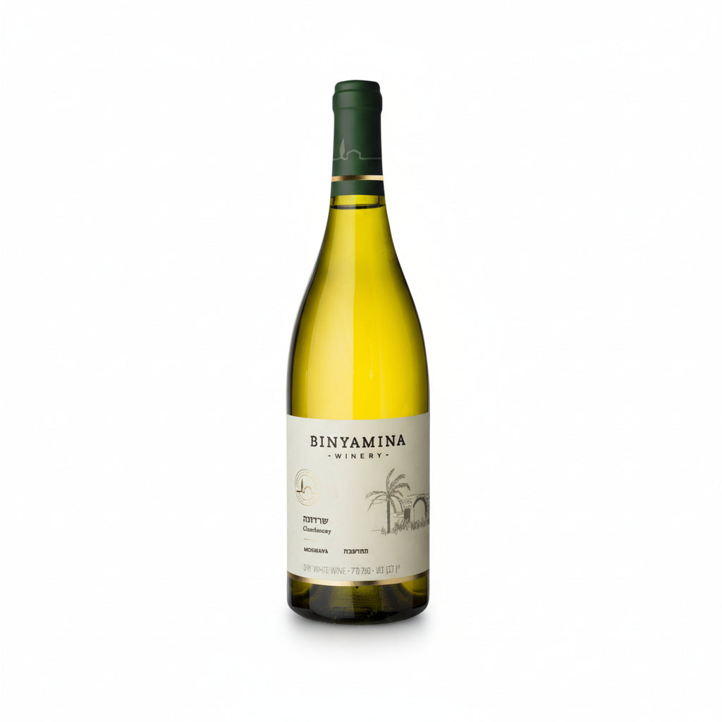 Bottle wine Moshava Chardonnay 2024 by Binyamina on a white background Israeli wine