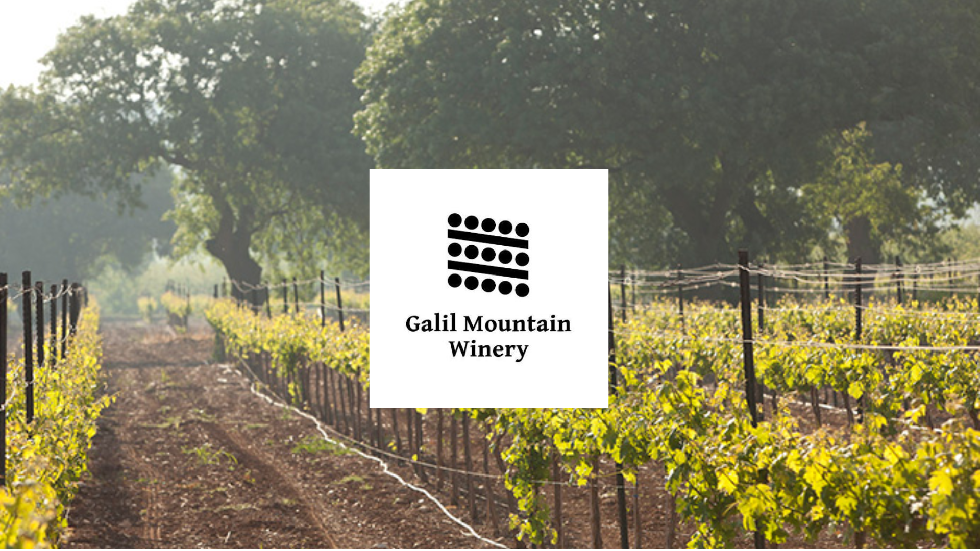 Galil Mountain Wine Comes to Cyprus