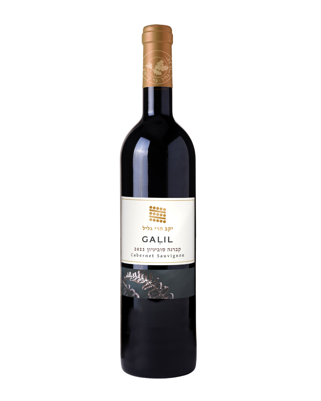 A bottle of GALIL Cabernet Sauvignon red wine from the brand Yisrael Winery, featuring a dark glass bottle, a cream-colored label with gold text, and a gold foil-wrapped neck, set against a plain white background.
