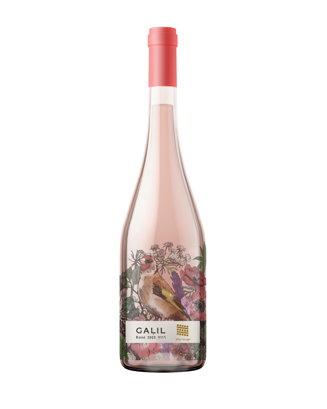 A bottle of GALIL Rose 2025 DOCG Rosé Grifolé, featuring a pale pink rosé wine liquid, a coral-red foil top, and a detailed vintage-style label with a bird and floral illustrations.