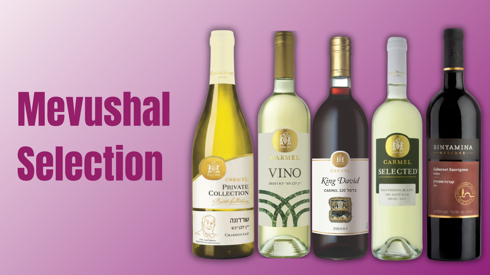 Five wine bottles with labels on a pink background, featuring 'Mevushal'.
All mevushal wines for Passover and kosher wines
