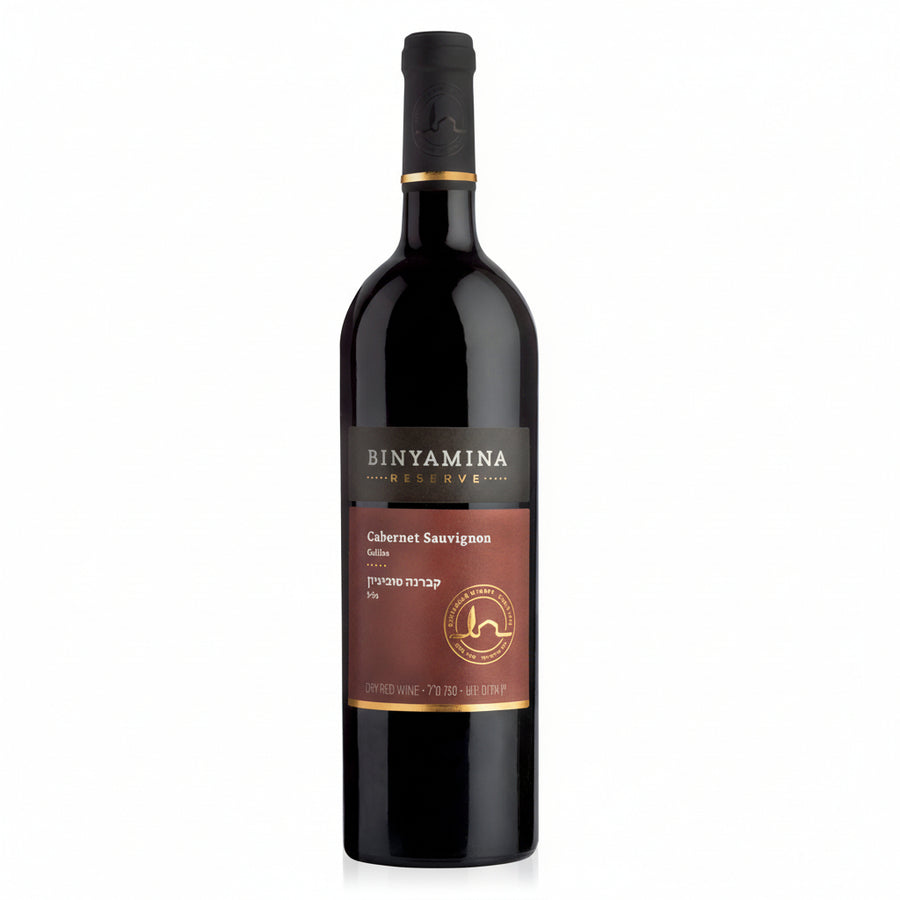 Wine bottle Reserve Cabernet Sauvignon 2019 by Binyamina in a white background Israeli wine