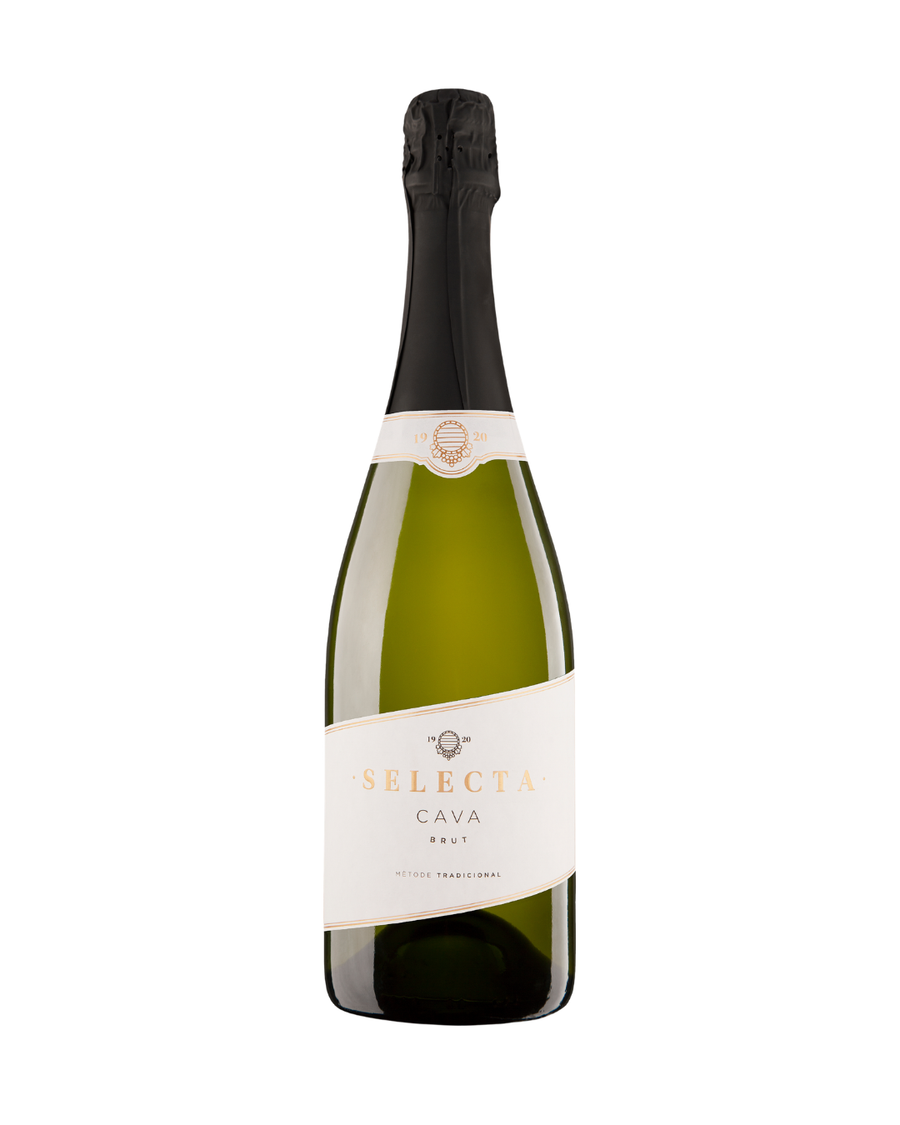 SELECTA CAVA BRUT white sparkling dry wine from Spain 